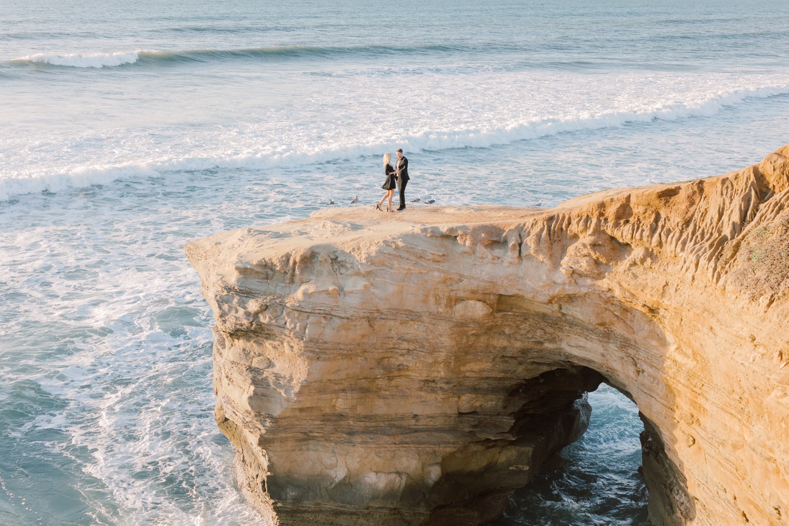 San Diego Sunset Cliffs Surprise Proposal