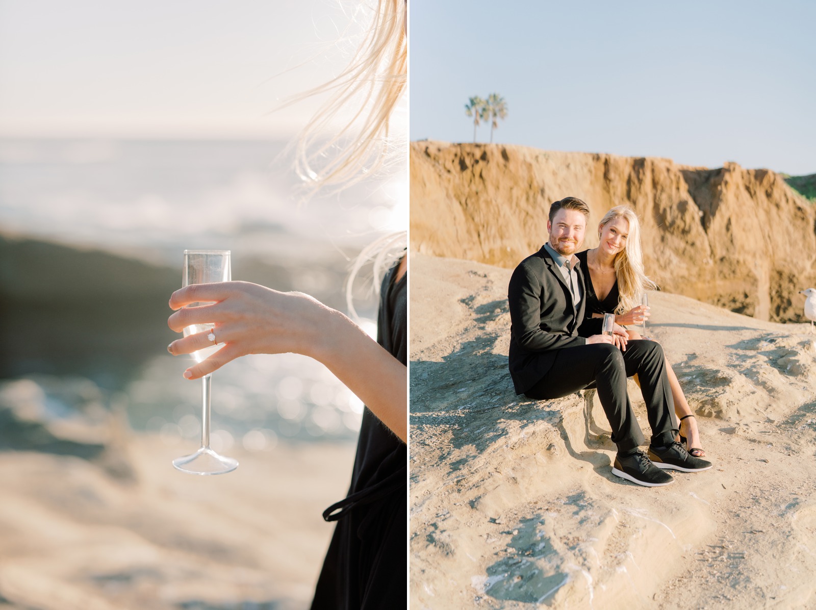 San Diego Sunset Cliffs Surprise Proposal
